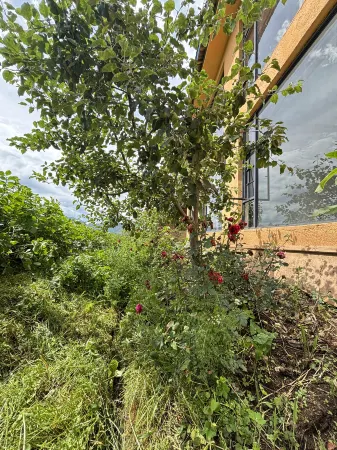 Mosuo Courtyard in Yeli, Lugu Lake Township