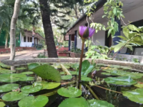 Eco Nature Lodge - Habarana Hotels near Minneriya National Park