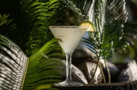 The Warwick Fiji - 5-Star