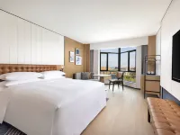Altay Four Points by Sheraton Hotel Hotels near Jin Mountain Square