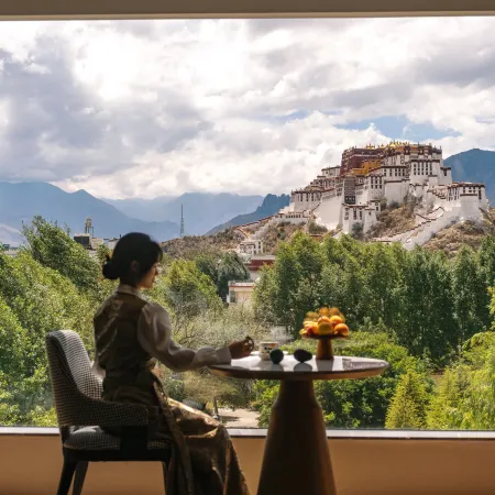 Poshe Guanjing Oxygen-enriched Hotel (Potala Palace Jokhang Temple)