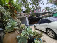 Danxia Mountain Jinniu Farm