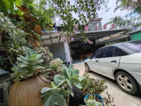 Danxia Mountain Jinniu Farm