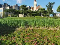 Guanting Lake B&B Under GreatWall Hotels in Huailai