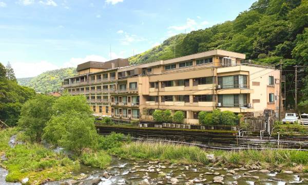 Hakone Pax Yoshino