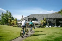Edgewater Hotel Hotels near ThatWanakaTree