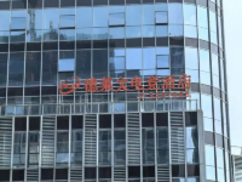 Delewen E-Sports Hotel