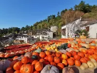 Kele Heart-to-Heart · 270° Terrace Courtyard View Design Boutique Stay (Huangling Scenic Area) - Romantic