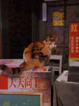 中央公園ホテル（合肥南駅駱崗公園） - カップル