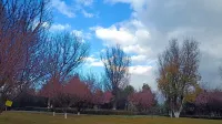 Yunman Smart Hotel (Xiangyun High-speed Railway Station Yubo Wetland Park) - Mountain view