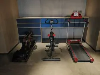 TRUE GO Hotel (Harbin Central Avenue Songhua River Riverside Road) - Gym