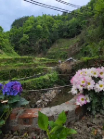 Xijian Qishu Homestay (Zhaoxing Dong Village Store)