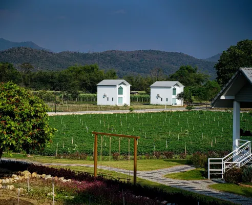 Naoat Resort Farm & Cafe