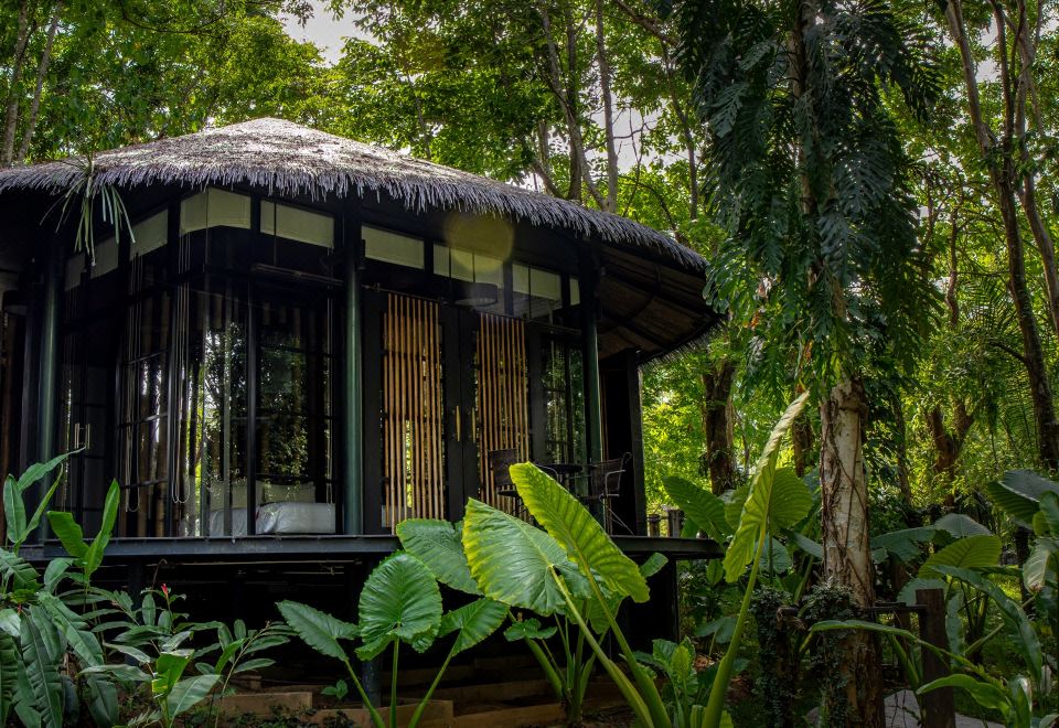 생추어리 칸차나부리 리조트의 야외 수영장 전경