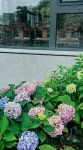 Beijing Shangu Yitong Shanshui Homestay Hotels near Jiangnan Water Town beyond the Great Wall
