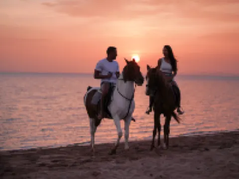 阿里帕夏酒店 艾爾古納酒店
