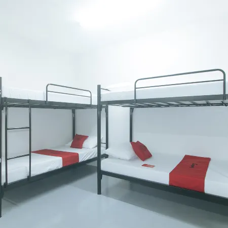 RedDoorz @ Qhouzz near PUP