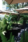 Four Points By Sheraton Nanning - Quầy bar