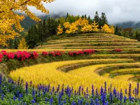 柏達酒店 劍河酒店