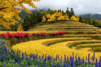 bodahotel Hotels in Jianhe