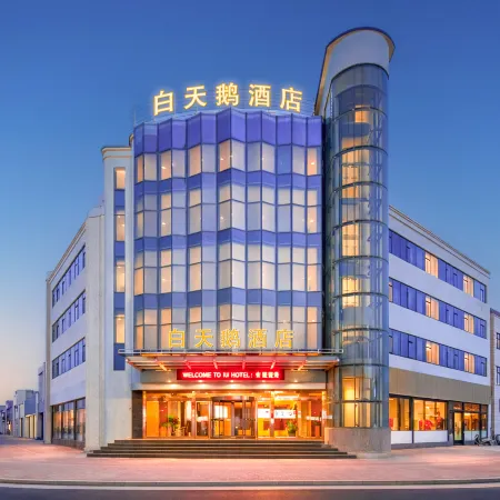 White Swan Hotel (Weihui City Government Store)