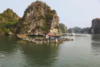 Verdure Lotus Classic Cruise on Lan Ha Bay - Cruises