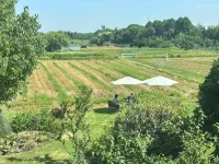 Ideal Village · Xuanshe | Twenty-Six Rooms Homestay - New