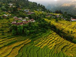 Barang Village Community Homestay