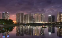 Wilson Elite - Vinhomes D'Capitale Hanoi Serviced Residence - สัตว์เลี้ยง