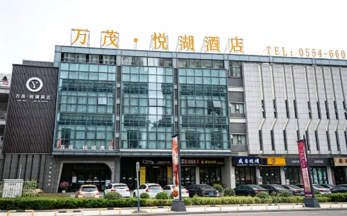 萬茂·悅湖飯店（萬茂城金街店） - 停車場