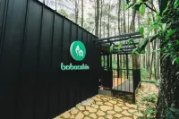 Bobocabin Cikole, Bandung - Homestays