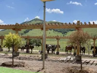 Fengning Bashang Zandan Manor - Gym