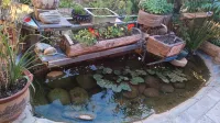 Hanshe Inn - 2-Star