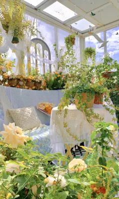 Teacher Yuan's Courtyard (Xiangbishan Lijiang Branch) Hotel a 