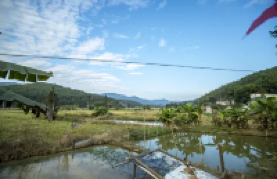Nanxiong Hat Peak Yuxing Xiaoyuan