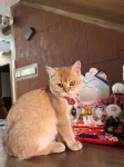沙溪古鎮溪苑精品民宿
