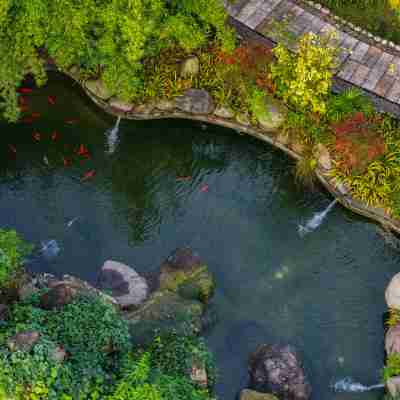 Qingcheng Mountain Samatha Yinmachuan Hot Spring Resort Hotel Exterior