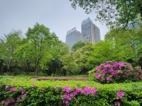 Jingrun Yipin City Hotel (Chuyan East Road)