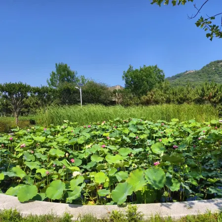 Floral · Rizhao Youyou Valley Homestay