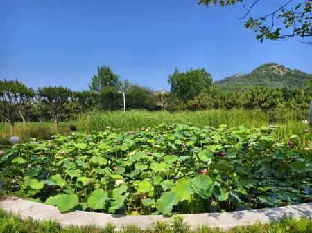 Floral Hotel·Yoyo Valley Homestay