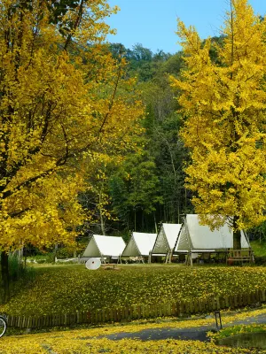 Dujiangyan Fangnanye Holiday Home