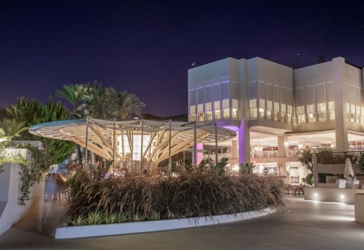 2. 팔로마 페리시아..