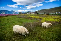 Shangri-La Ten Miles Snow Mountain Margheri Manor