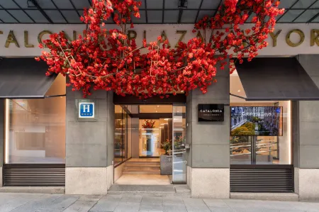 Catalonia Plaza Mayor Salamanca