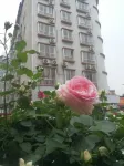 Quanzhou Xianghe Hotel - parking