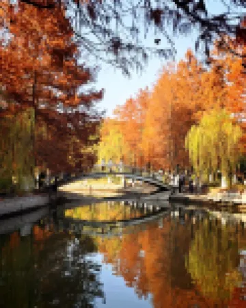 秋思城市景觀公寓（南部商務區羅蒙環球城店）