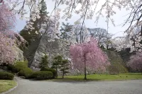 Daiwa Roynet Hotel Morioka - Scenic