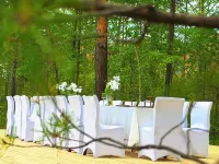 Mohe Arctic Village Songjian Yueju Luxury Wilderness Hotel - Pet friendly