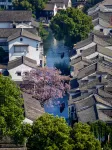 Dongyueli Hotel (Shaoxing Downtown Area Cangqiao Straight Street) - Mountain view