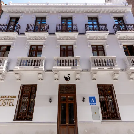 Black Swan Hostel Granada